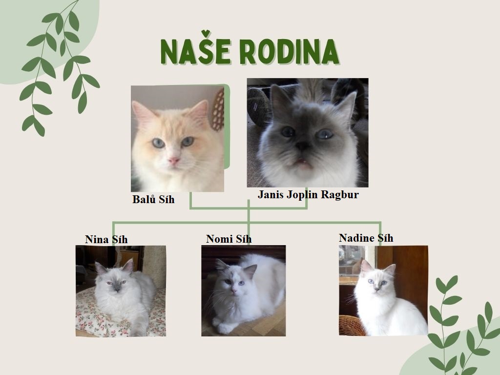 Naše rodina Balů - Janis, vrh H