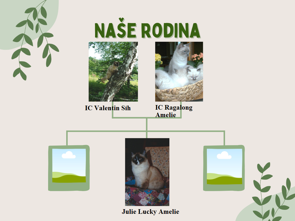 Valentin _Amelie_Julie_naše rodina